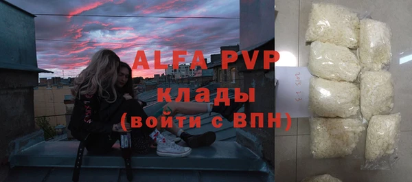 apvp Аша