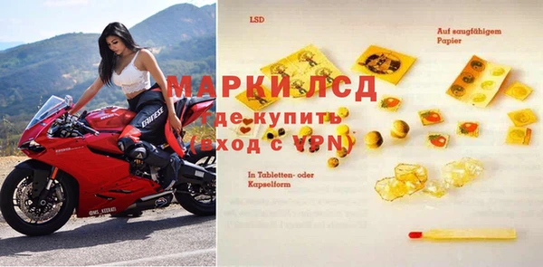 apvp Аша