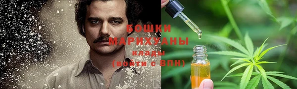 apvp Аша
