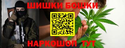 гидра Заводоуковск