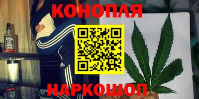гидра Заводоуковск
