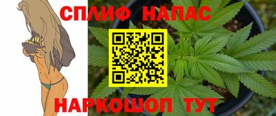 apvp Заволжье