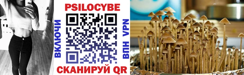 ОМГ ОМГ Кириши Псилоцибиновые грибы Cubensis