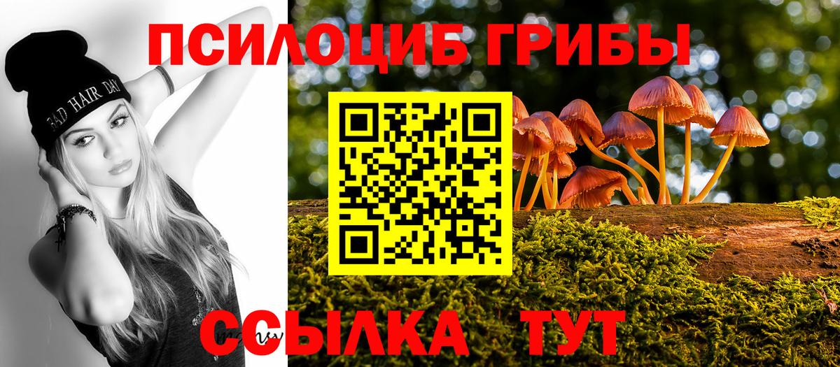 Кириши  Галлюциногенные грибы Magic Shrooms  Галлюциногенные грибы Magic Shrooms  Вход с VPN 
