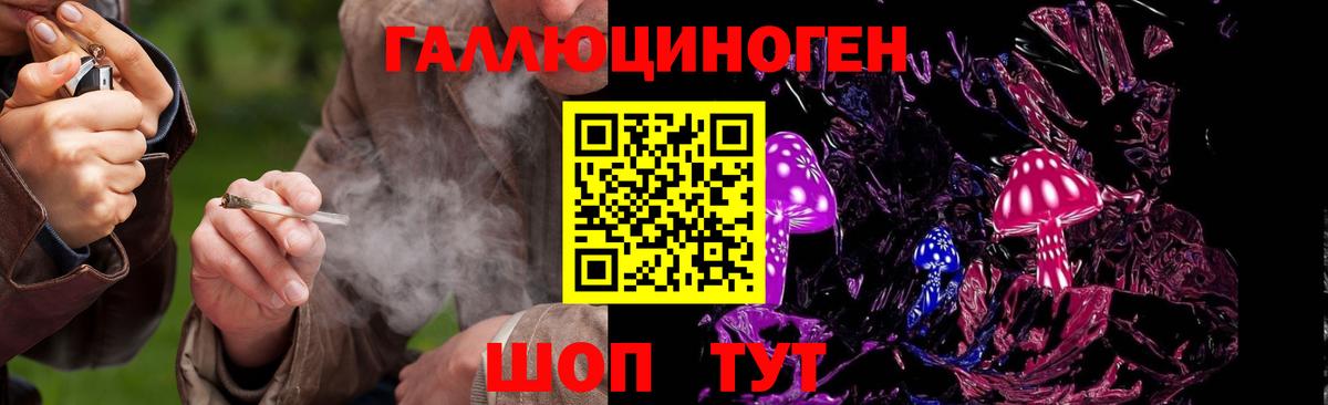 Галлюциногенные грибы Psilocybine cubensis  Кириши  Галлюциногенные грибы мухоморы 