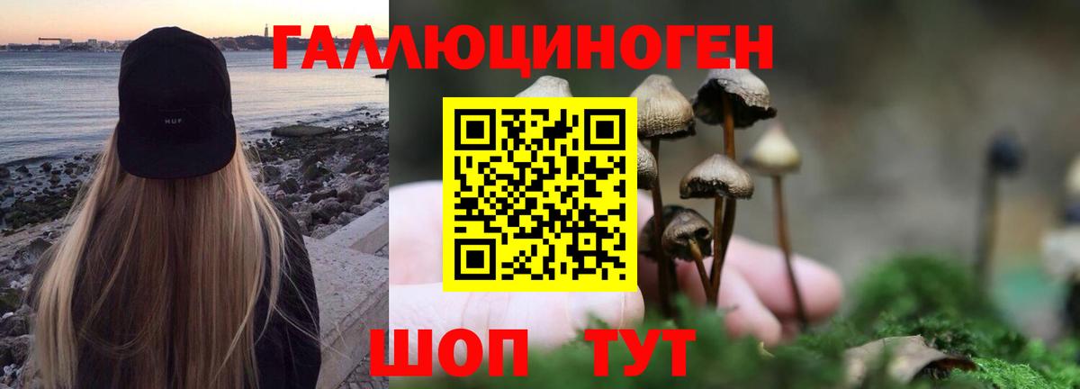 Галлюциногенные грибы мухоморы Кириши