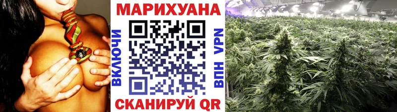 наркотики  Кириши  Конопля MAZAR 