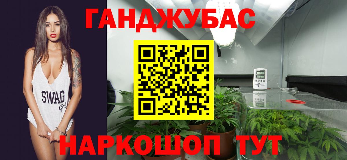 Бошки Шишки AK-47  Бошки Шишки гибрид  Бошки Шишки THC 21%  Кириши 